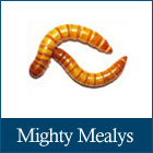 Mighty Mealys